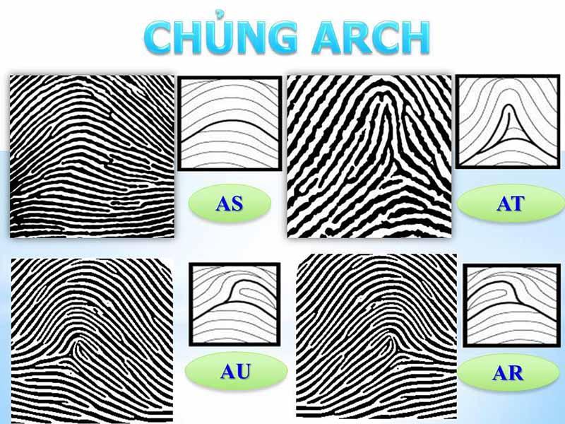 Các loại chủng ARCH phổ biến mà bạn nên biết