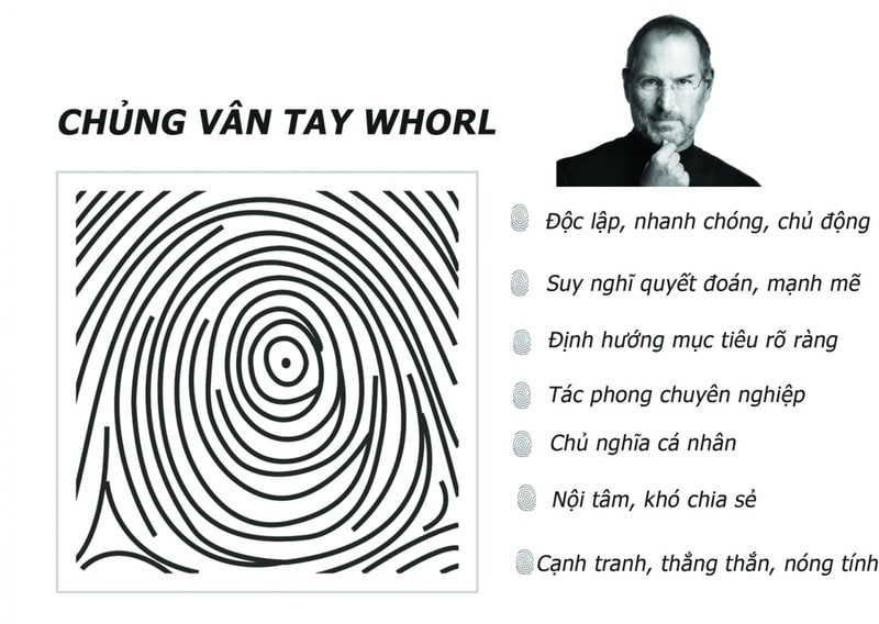 Người có chủng vân tay Whorl luôn định hướng mục tiêu rõ ràng